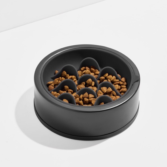 Dog Slow Feeder